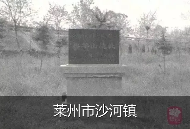 莱州市沙河镇