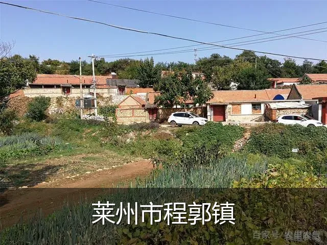 莱州市程郭镇